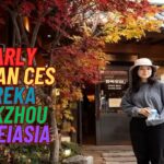 Nearly Korean CES Eureka Parkzhou Nikkeiasia: Insights from Nikkei Asia