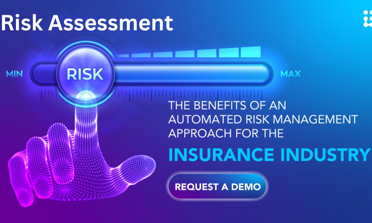 Risk Assessment and Policy Customization