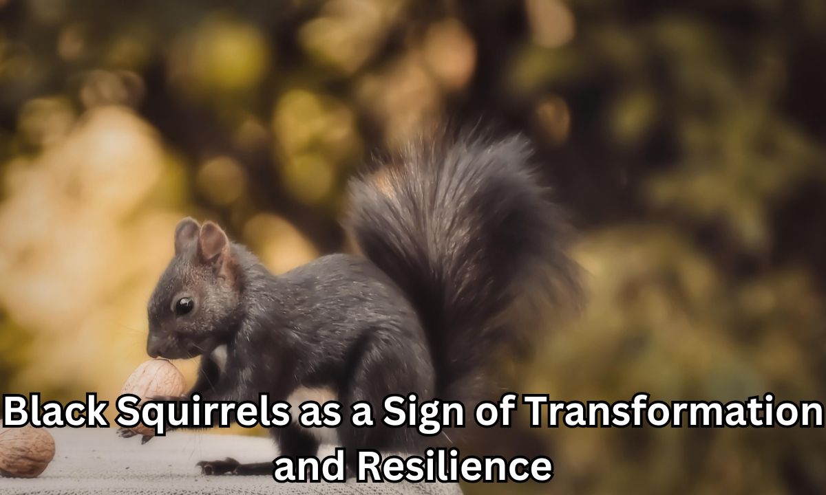 Black Squirrels as a Sign of Transformation and Resilience